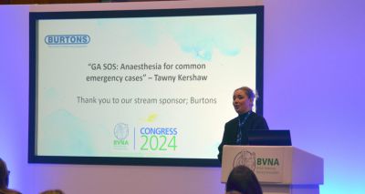 BVNA announces 2025 congress theme